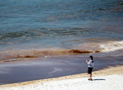 Oil lapping onto a Gulf of Mexico beach