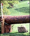 C53679F1-8FB5-4345-80C1-0202DF4CACE7.jpg