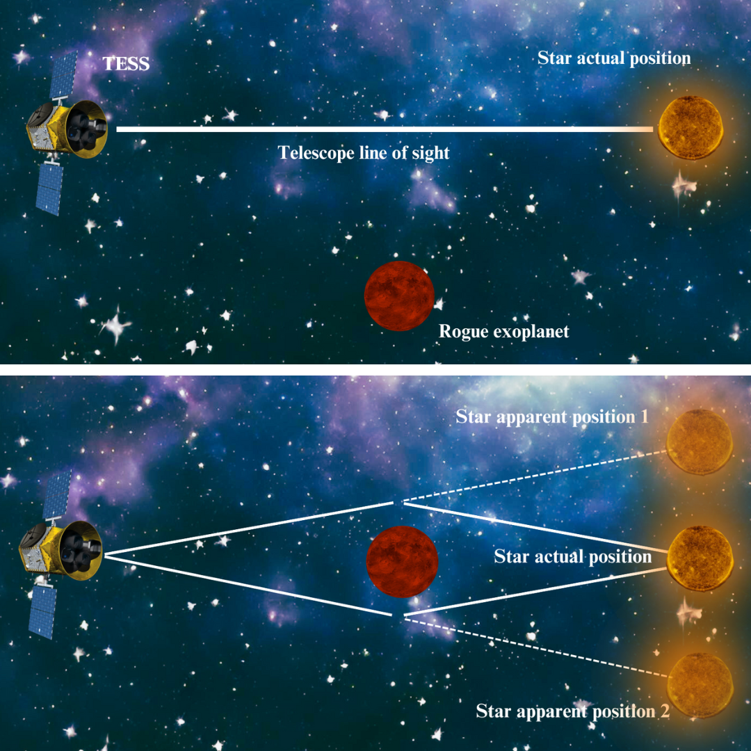 دو نمودار، بالا مکان واقعی یک سیاره سرکش را نشان می دهد و پایین نشان می دهد که چگونه عدسی گرانشی مکان ظاهری سیاره و ستاره ساطع کننده نور پس زمینه را تغییر می دهد.