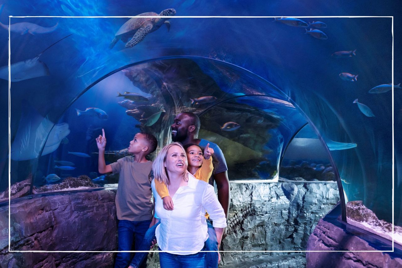 Family in Sea Life Centre Ocean Tunnel