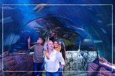 Family in Sea Life Centre Ocean Tunnel