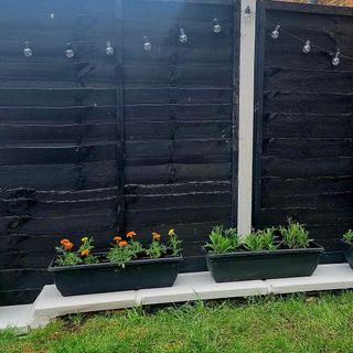 black fence in garden with planters