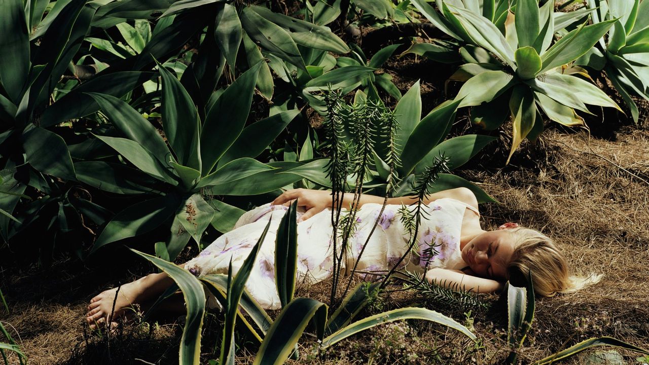 A girl asleep in long grass