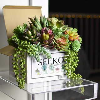 Seeko Artificial Succulents