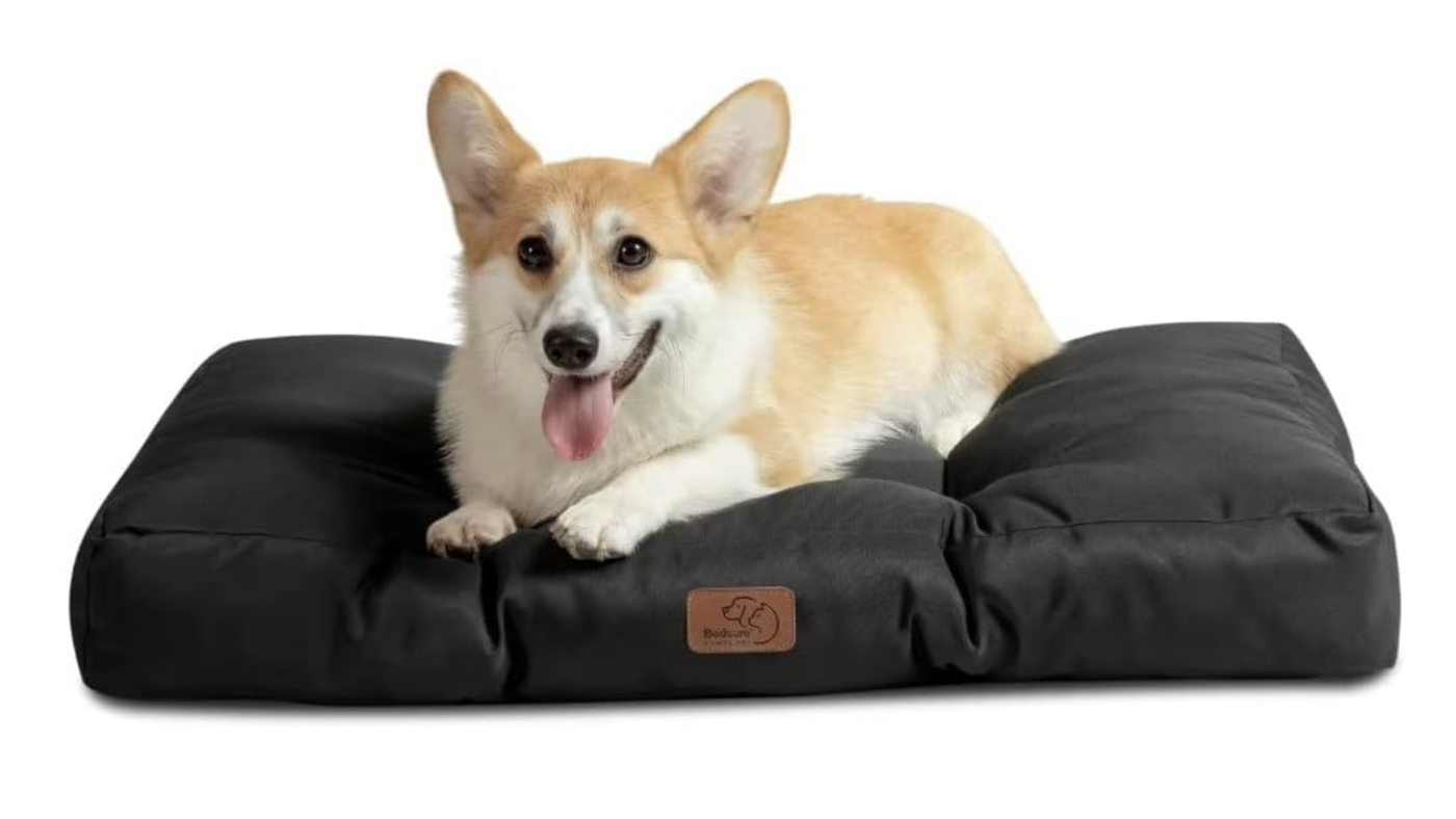 Bedsure dog bed for crates with corgi