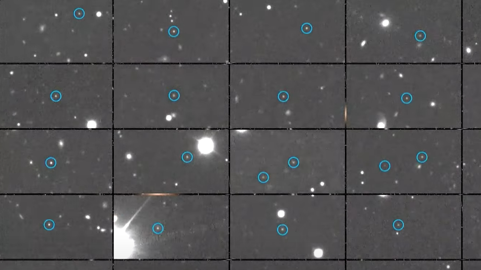 A series of dots with blue rings around them over a gray background