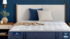 A Serta mattress in a navy blue, modern bedroom.