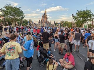 Walt Disney World Crowds