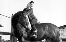 HD1G4J Elizabeth Taylor at home with her horse King Charles who played Pi in NATIONAL VELVET, 1947