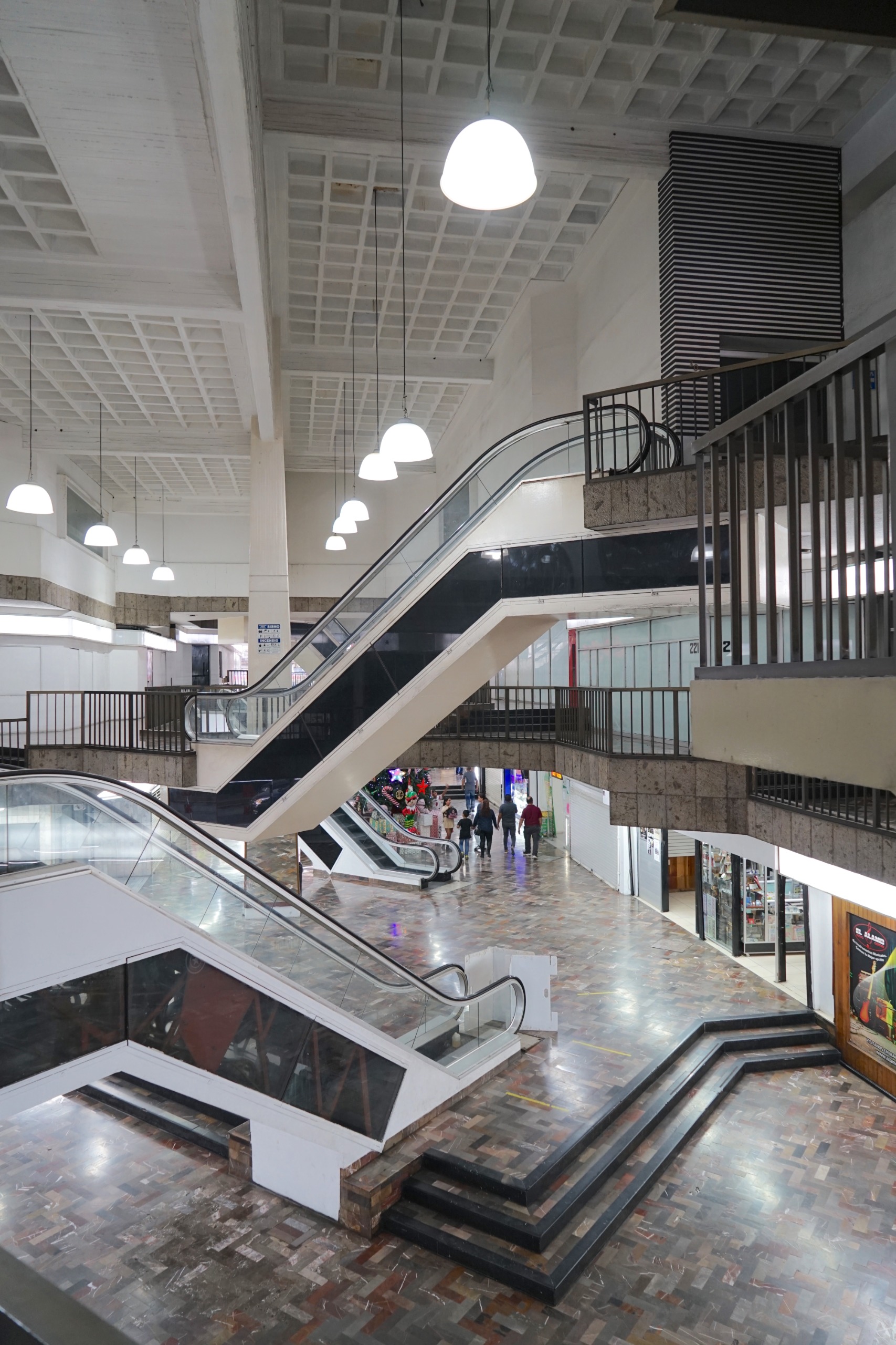 Guadalajara modernism by Alejandro Zohn Rosenthal'