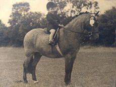 MAIN-Annie-Grey-Edwards-on-Red-Spark_395849212_693520651.jpg