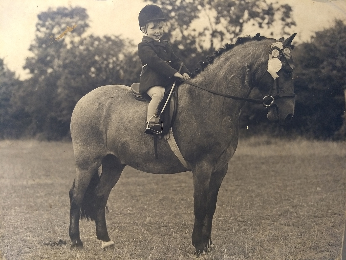 MAIN-Annie-Grey-Edwards-on-Red-Spark_395849212_693520651.jpg