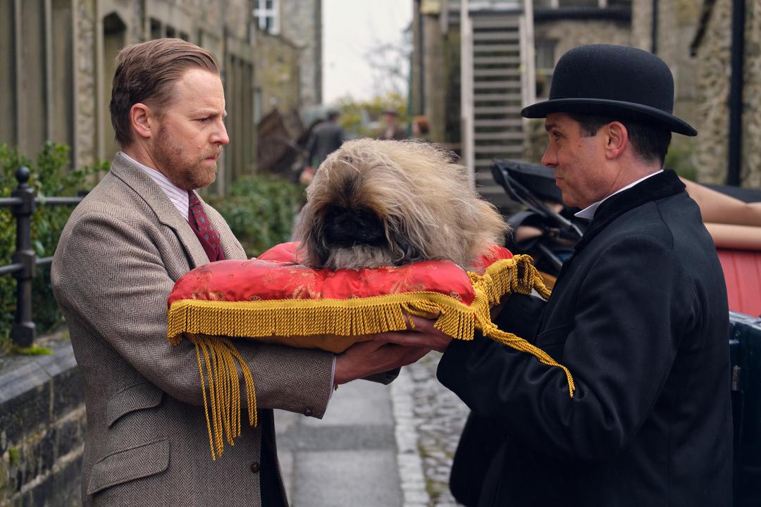 TV tonight Tricki Woo the Pekingese.