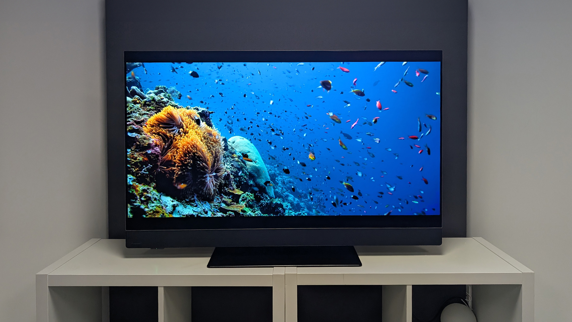 Panasonic Z90B 48-inch OLED TV