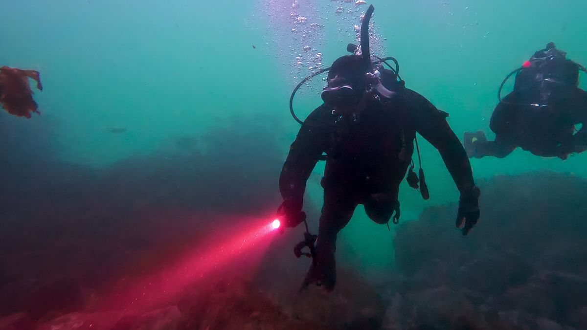 A scuba diver in Netflix&#039;s Investigation Alien