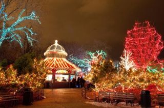 Zoolights at Lincoln Park Zoo