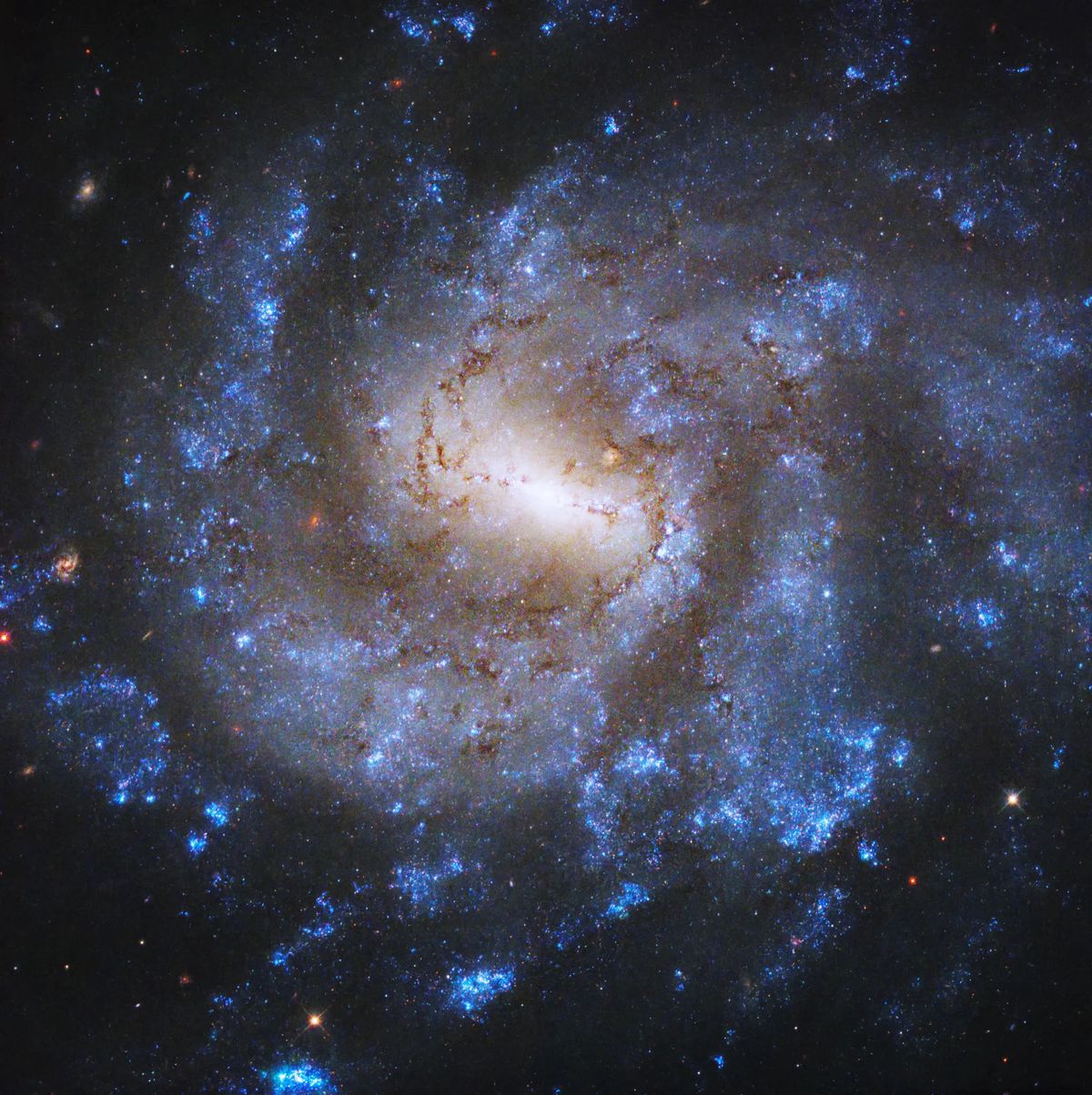 Hubble Telescope captures star-packed galaxy spinning like a top (photo ...