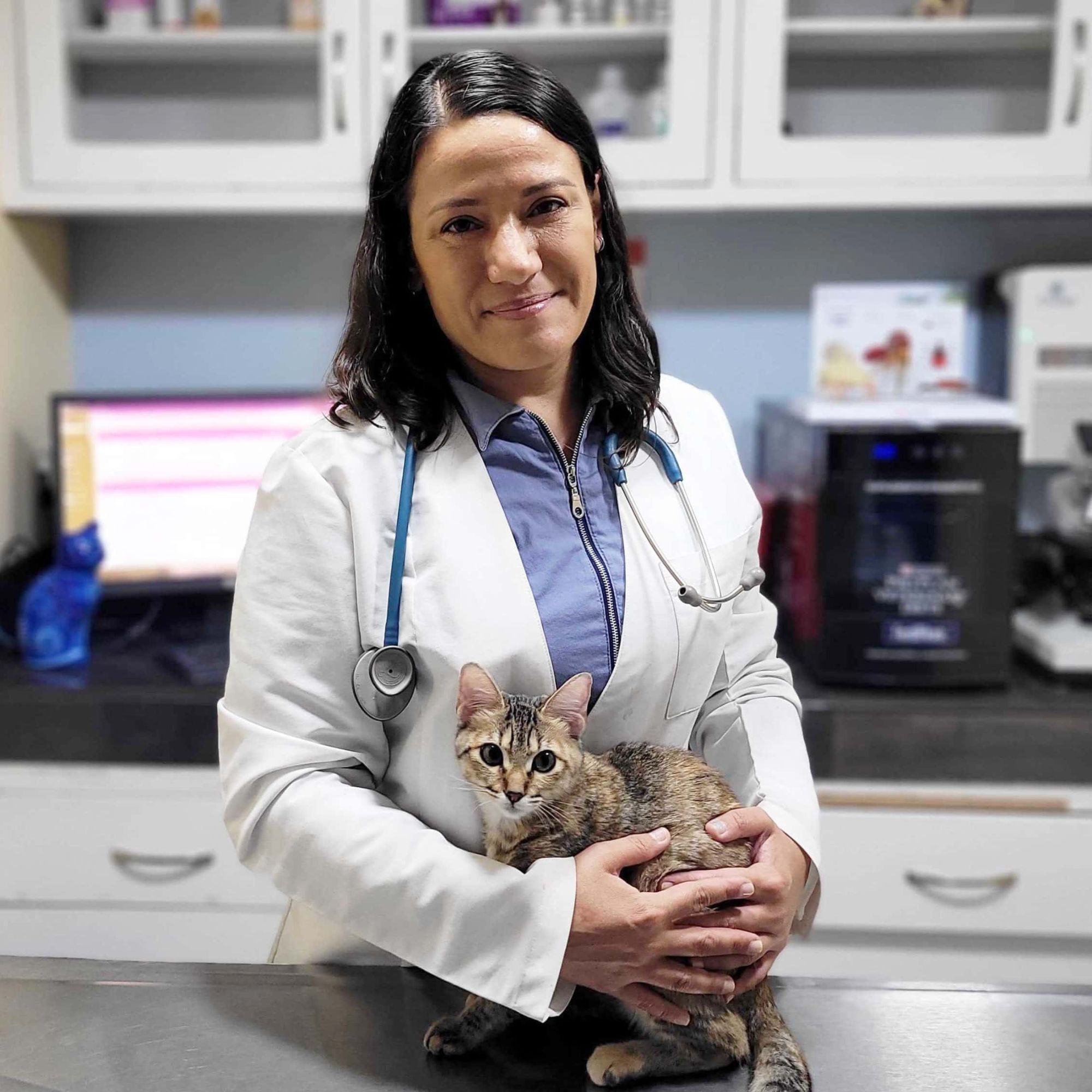 A picture of Dr. Paola Cuevas holding a cat.