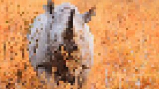 Pixelated photo a rhino to show how many remain in existence