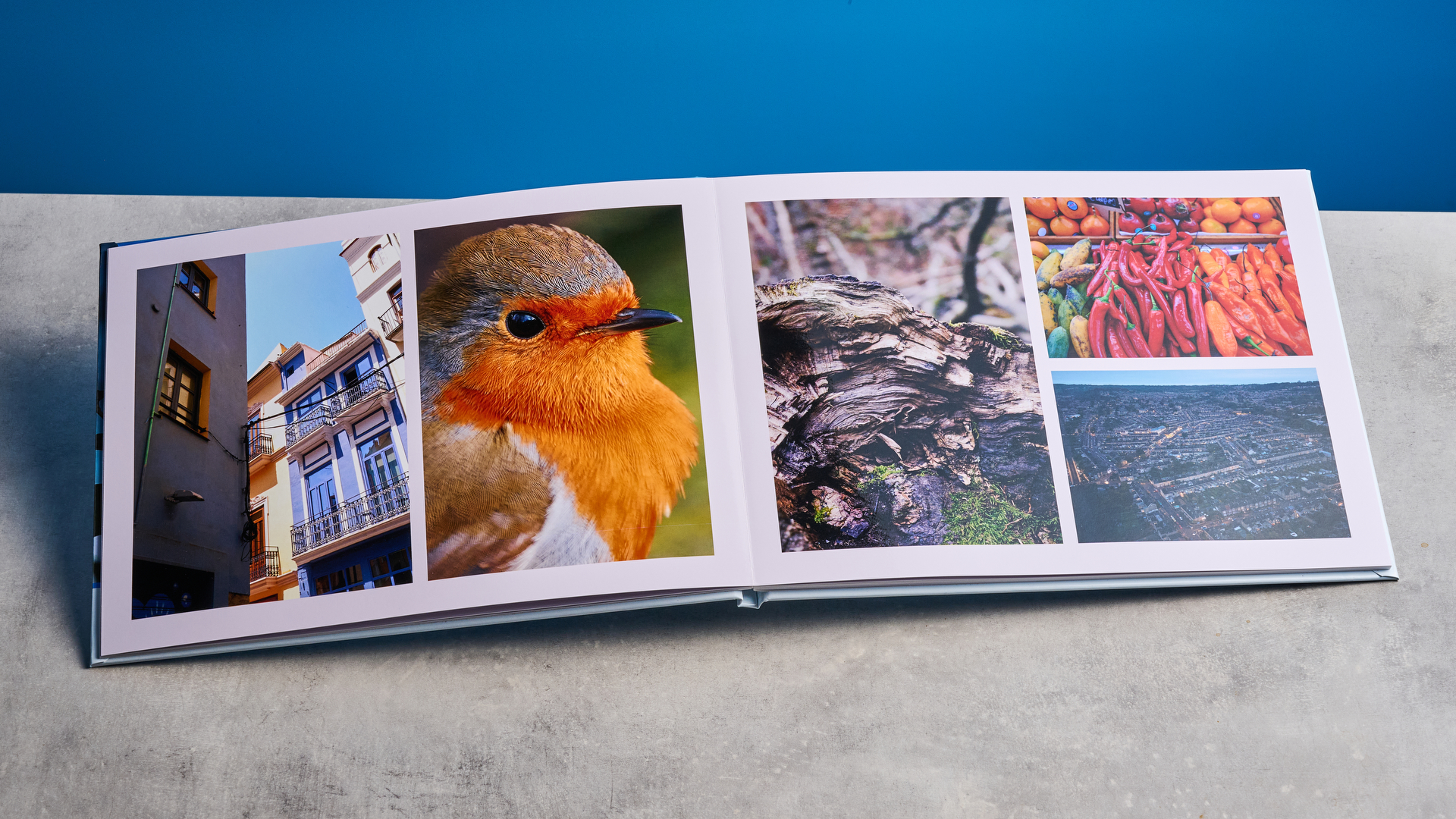 Popsa photo book photographed in front of a blue background