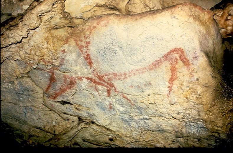 A red rock art painting of an aurochs