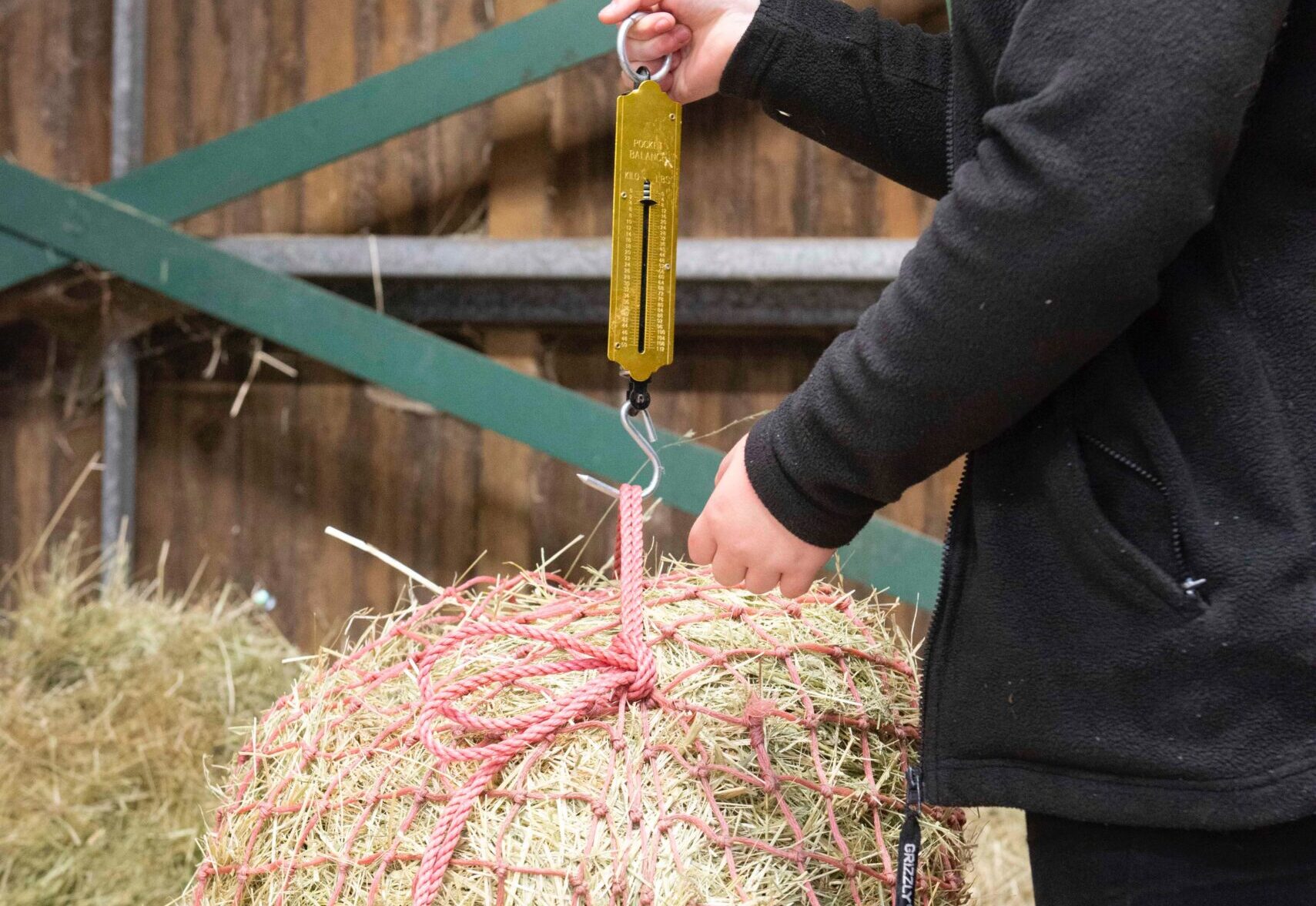 Close up of weighing a haynet