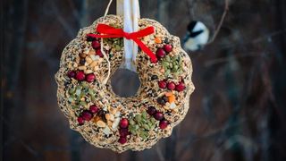 Birdseed Wreath Recipes