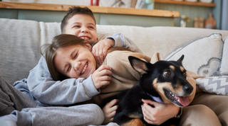 Two kids cuddling dog on the sofa - 25 best dogs for families 