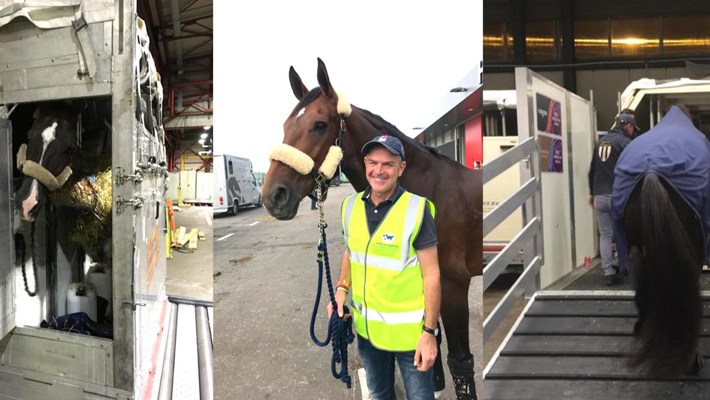 Alan Davies flying horses including Mount St John Freestyle and Valegro