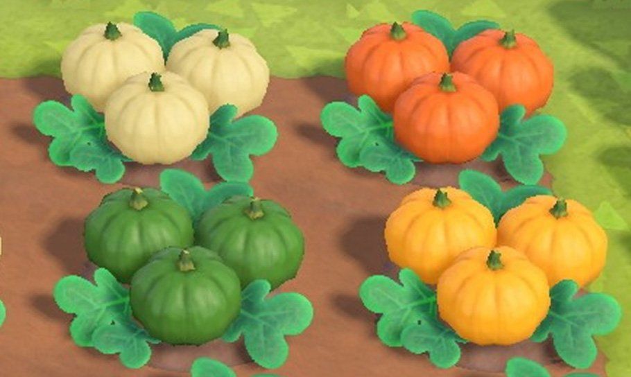 Animal Crossing New Horizons Pumpkins — How to grow the biggest patch