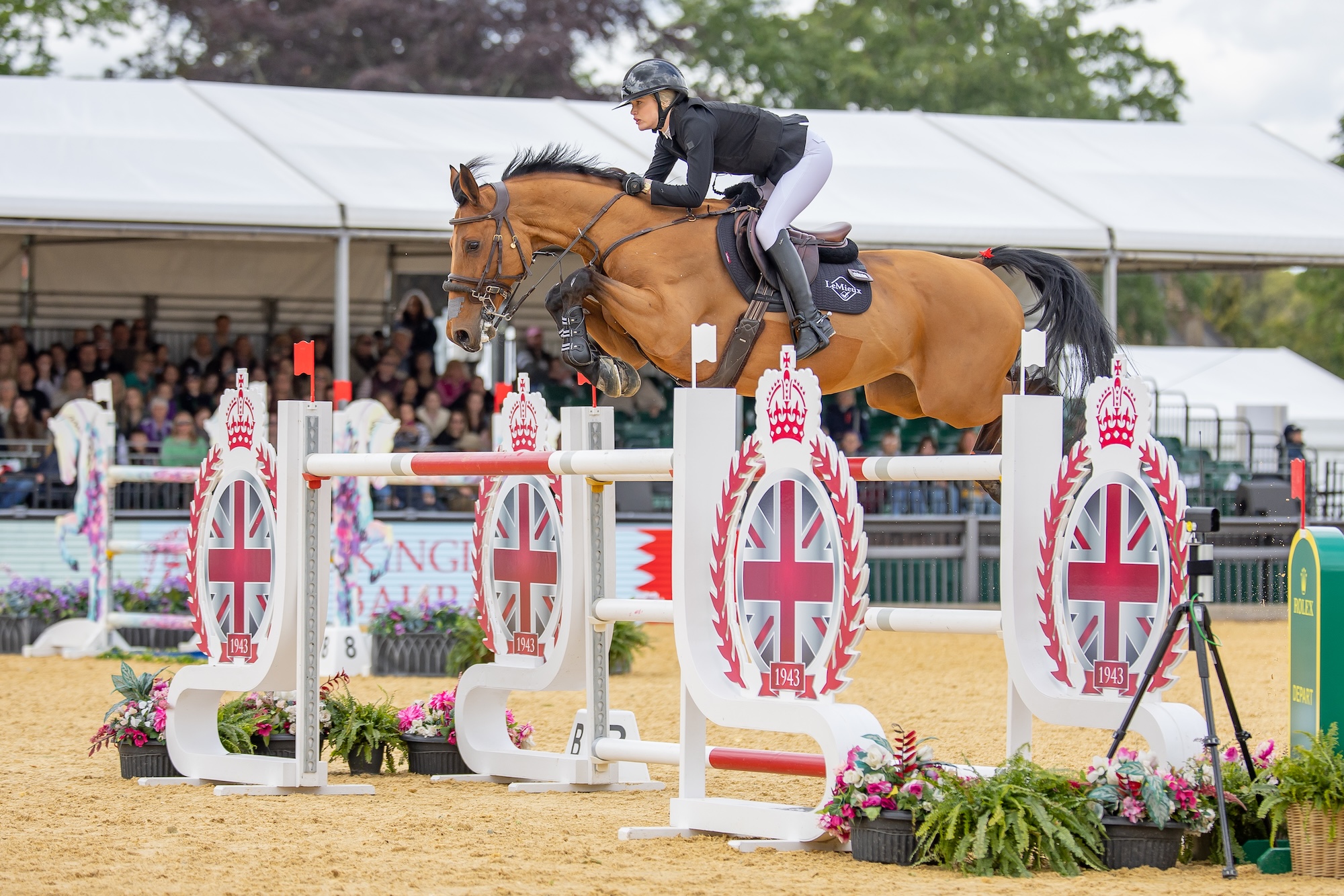 Sienna Charles jumps Stardust over an oxer at Royal Windsor
