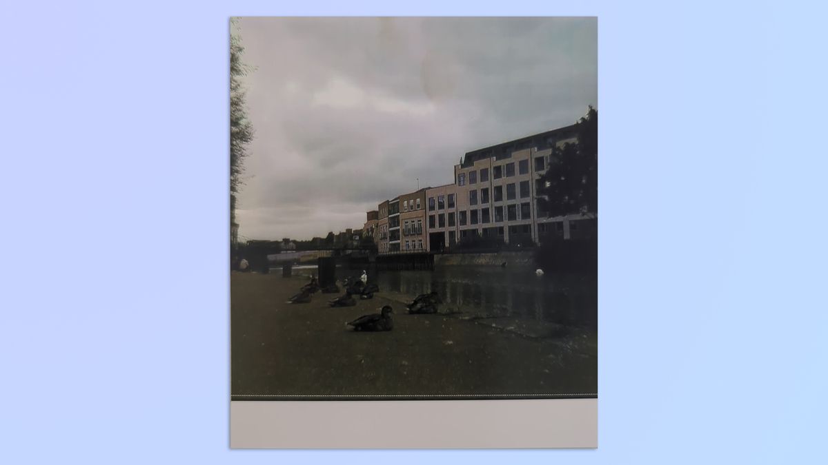 A photo of xxx taken on a Kodak Mini Shot 4 Era 2-in-1 instant camera