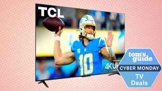 Cyber Monday TV deal
