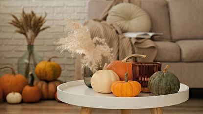A round living room coffe table with pumpkins piledo n top with a glass candle jar, pumpkins piled in a corner behind