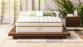 Saatva Classic Mattress review image shows the Saatva Classic innerspring hybrid placed on a luxury wooden bed frame and dressed with white and green pillows