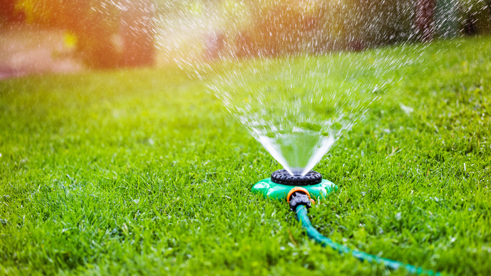 Sprinkler watering lawn