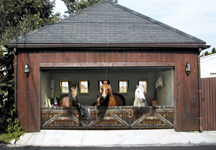garage_poster-hr.jpg