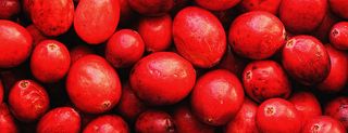 cranberries, health, mirobiology