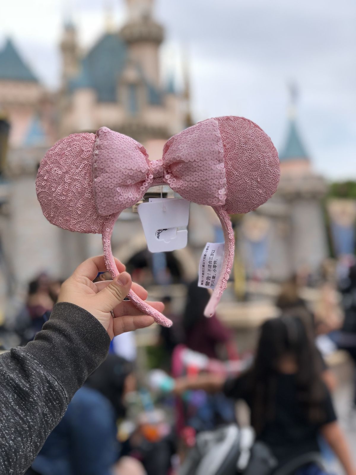 Millennium Pink ears in front of castle