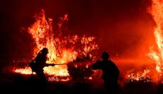 Firefighters battle the Bobcat fire.