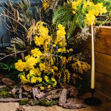 Spring candle display with yellow flowers