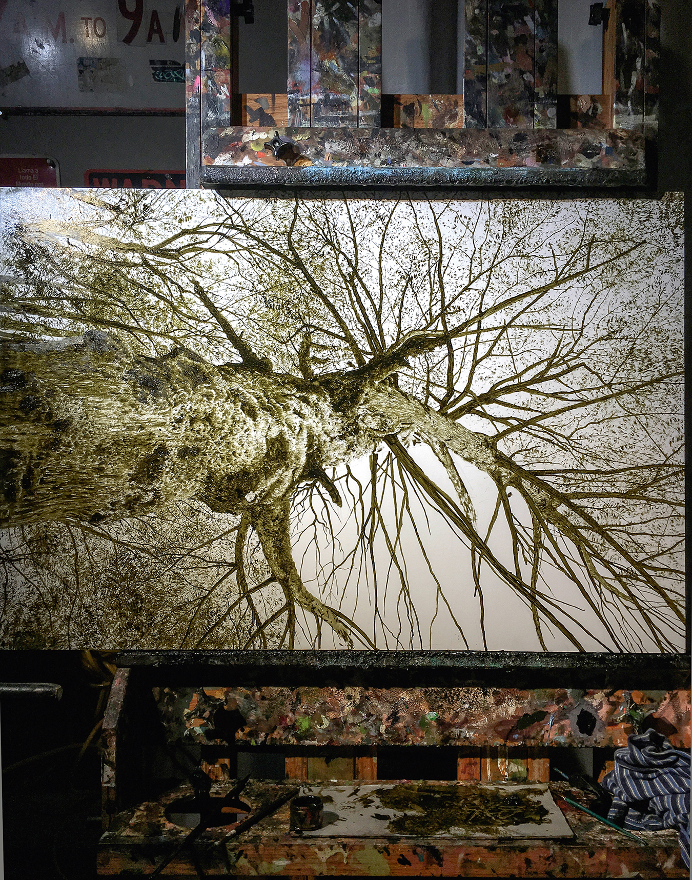 Picture of tree