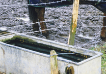 slimey_trough-hr.jpg