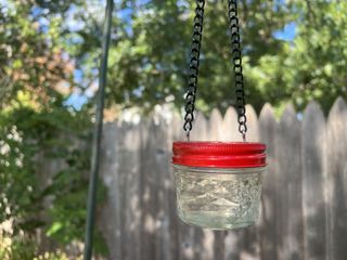 hummingbird feeder