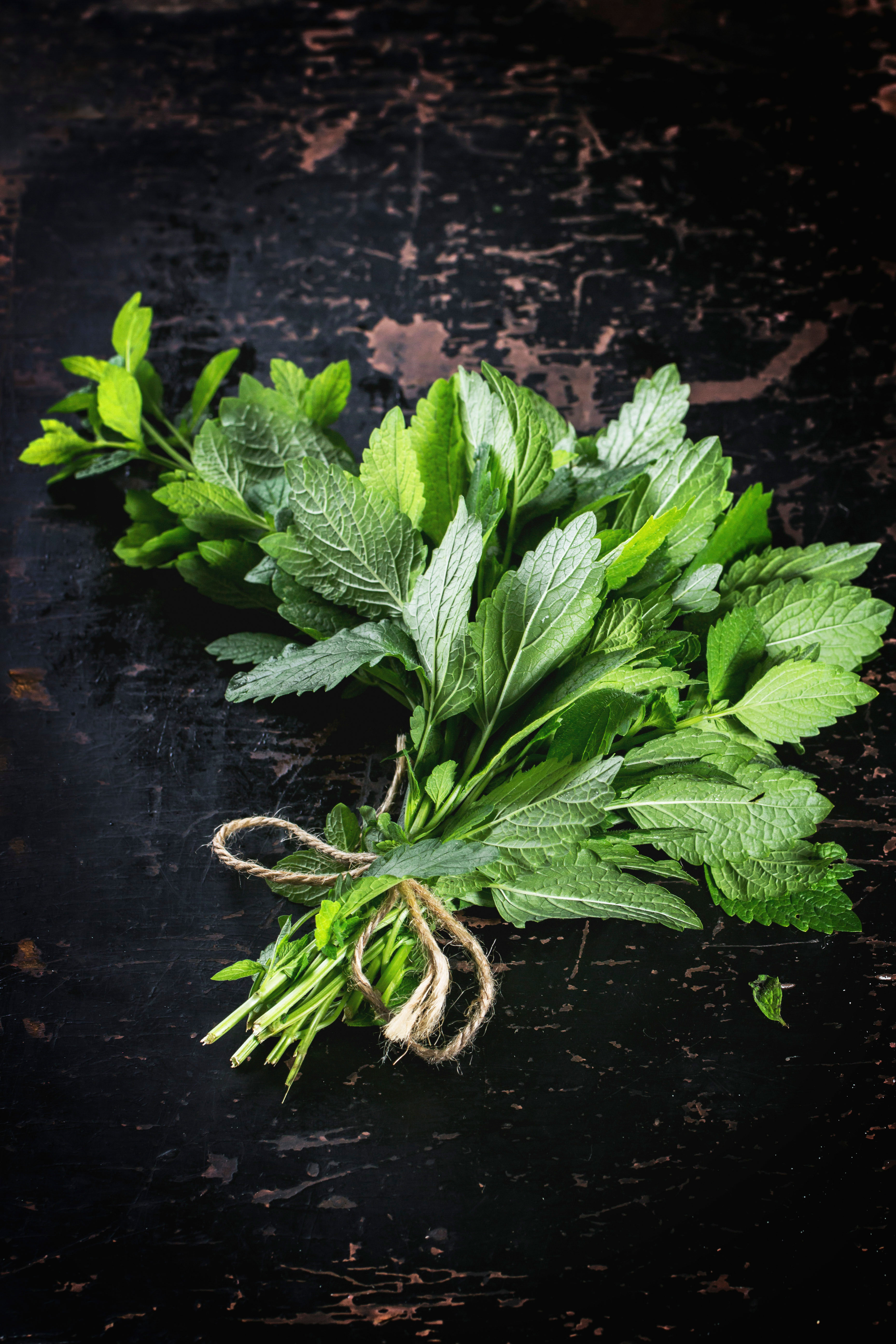 Bunch of fresh mint over black wooden table. Top view.