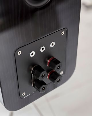 Q Acoustics Concept 300 terminal panel