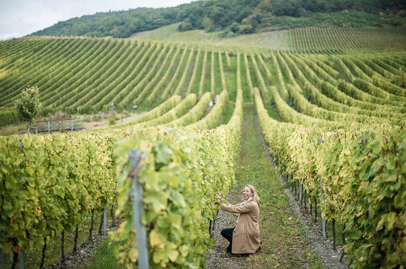 A member of The Vines in the vineyards of the Mosel Valley.