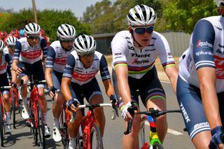 TANUNDA AUSTRALIA JANUARY 21 Mads Pedersen of Denmark and Team TrekSegafredo World Champion Jersey Richie Porte of Australia and Team TrekSegafredo Kiel Reijnen of of The United States and Team TrekSegafredo during the 22nd Santos Tour Down Under 2020 Stage 1 a 150km stage from Tanunda to Tanunda TDU tourdownunder UCIWT on January 21 2020 in Tanunda Australia Photo by Tim de WaeleGetty Images