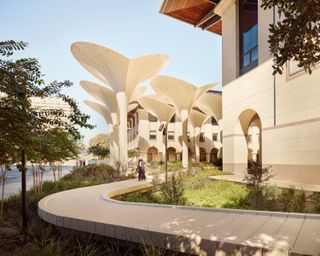 Blanton Museum of Art in Austin, Texas by Snohetta showing its outdoor areas, mushroom shaped capony and gardens