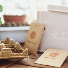 Packets of pepper and tomato seeds next to a cardboard seed starting tray